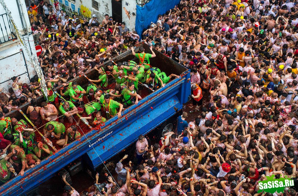   La Tomatina 2013 (13 )