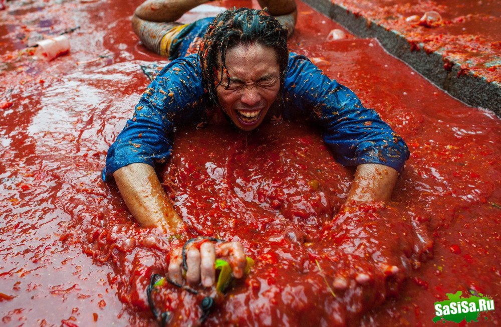   La Tomatina 2013 (13 )