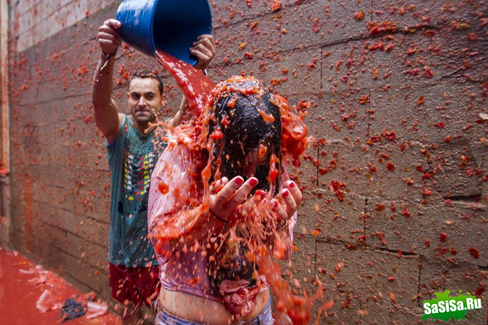   La Tomatina 2013 (13 )