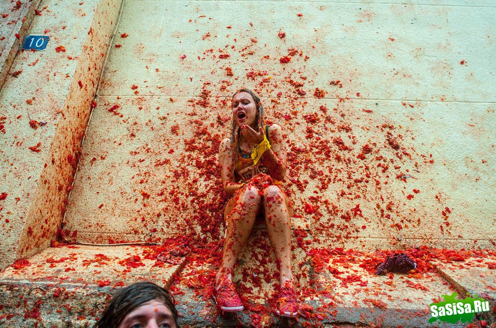   La Tomatina 2013 (13 )