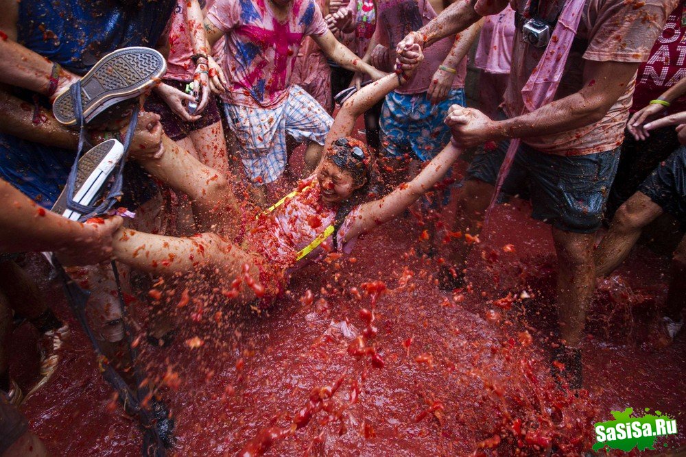   La Tomatina 2013 (13 )