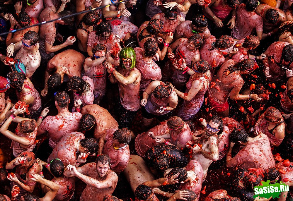   La Tomatina 2013 (13 )