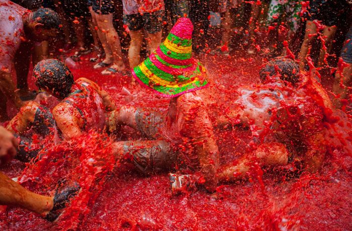   La Tomatina 2013 (13 )