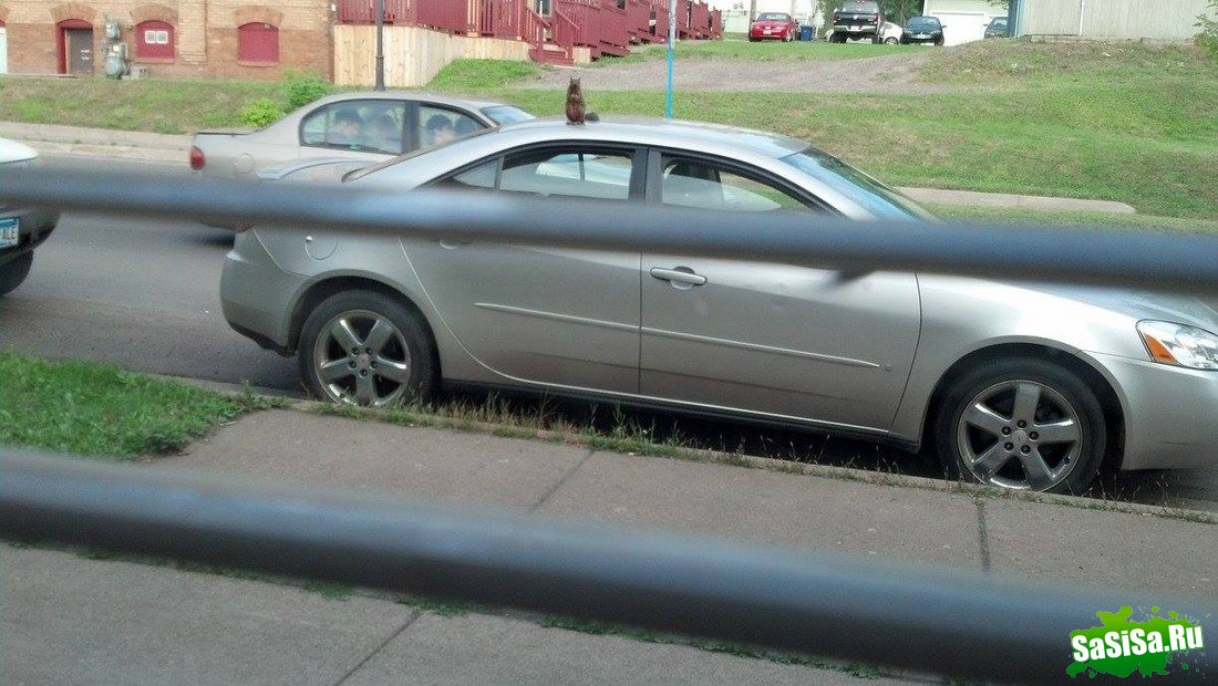 ������������ (������ � ���������� ����)