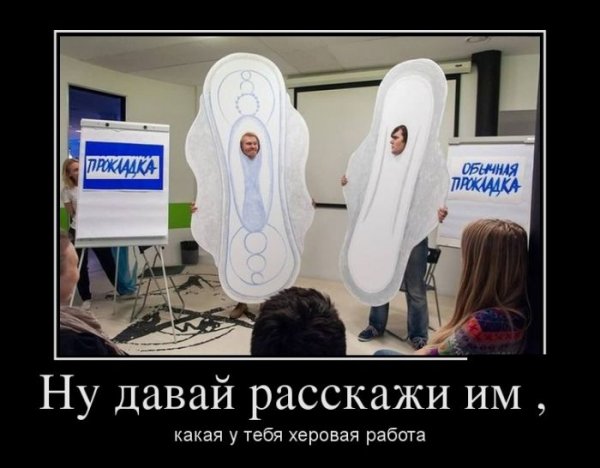 ������������ ������������ (26 ����)