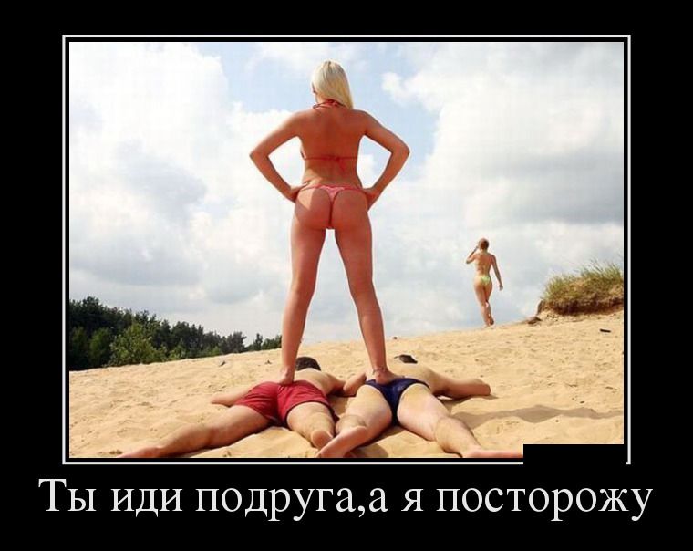 ������������ ������������ (26 ����)