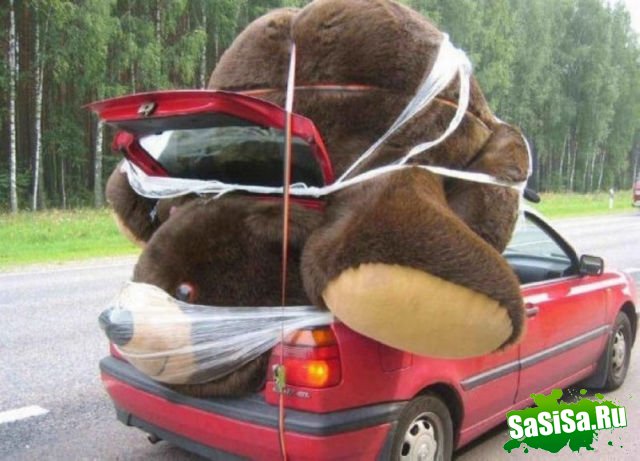 Чего только не увидишь на дорогах:) (20 фото)