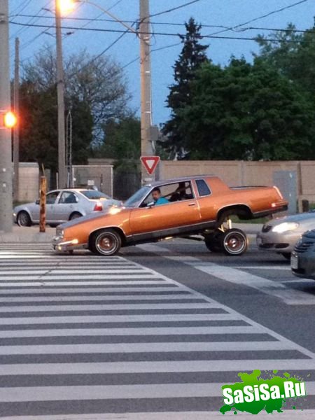 Чего только не увидишь на дорогах:) (20 фото)
