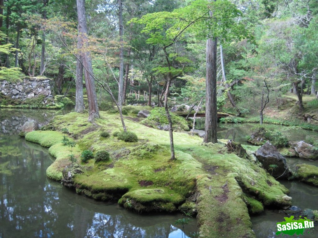   Saiho-ji.  (25 )