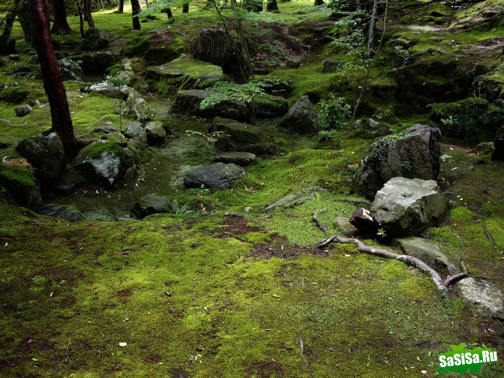   Saiho-ji.  (25 )