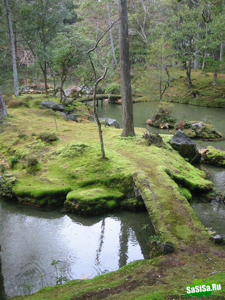   Saiho-ji.  (25 )