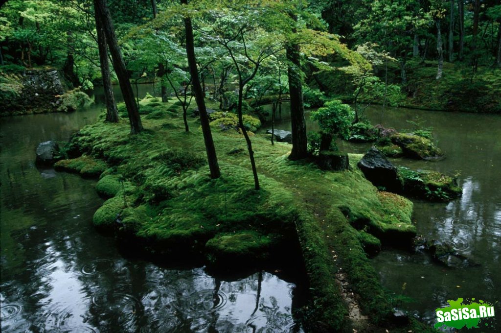   Saiho-ji.  (25 )