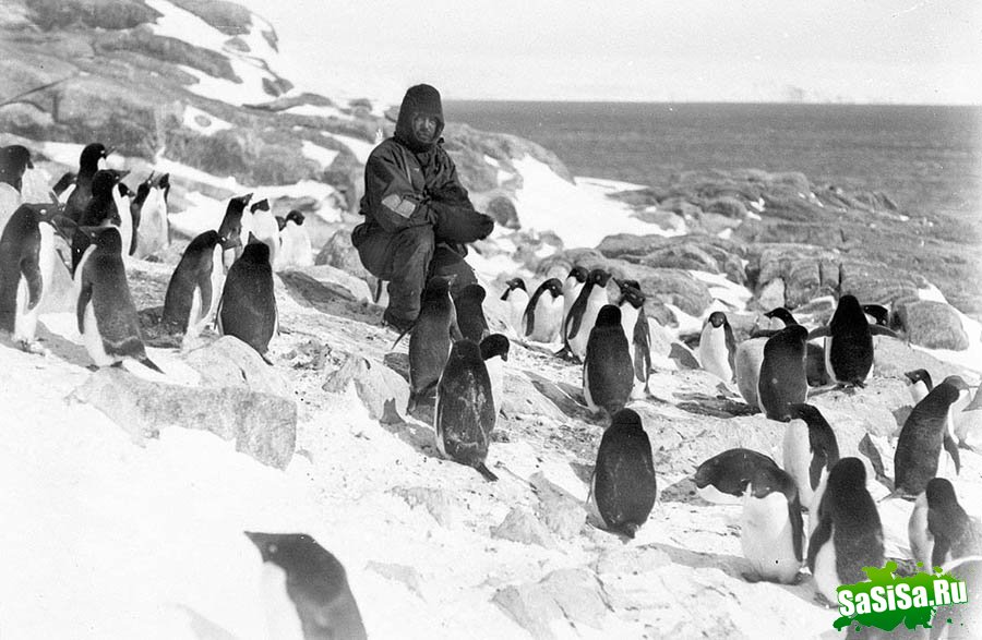 Самые впечатляющие фотографии Антарктиды начала 20 века (16 фото)