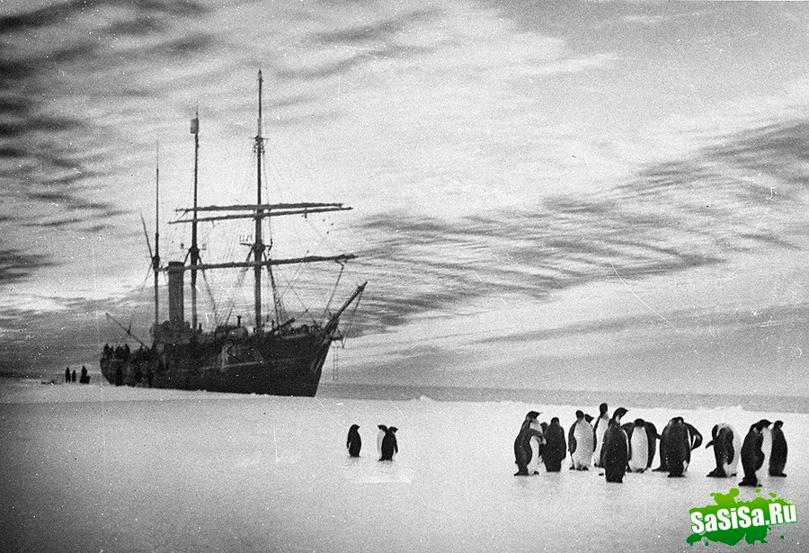Самые впечатляющие фотографии Антарктиды начала 20 века (16 фото)