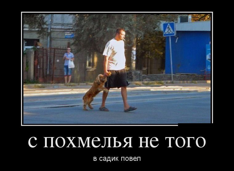 Демотиваторы среды (28 фото)
