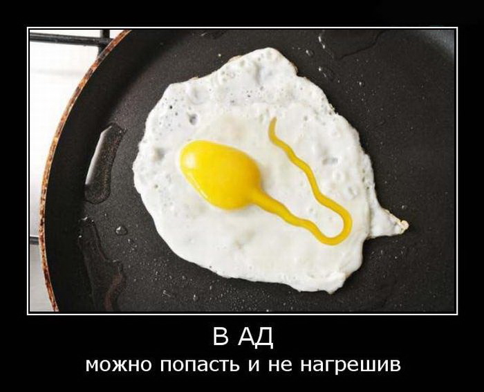 Демотиваторы среды (28 фото)