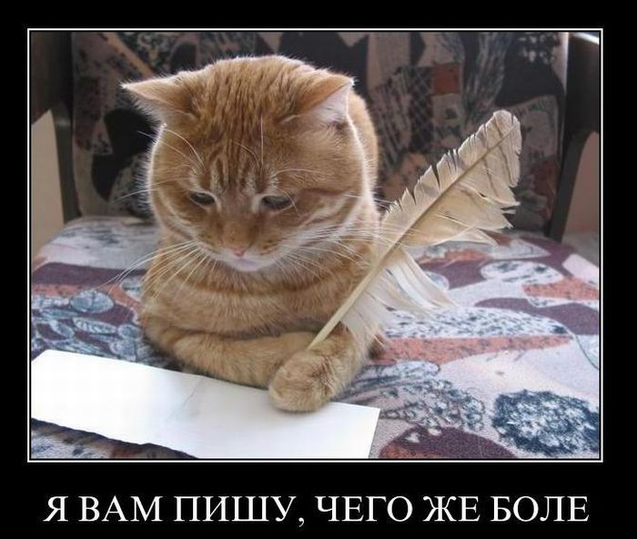 Демотиваторы среды (28 фото)