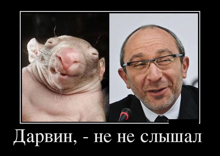 Демотиваторы четверга (28 фото)