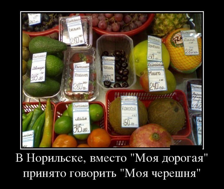 Демотиваторы четверга (28 фото)