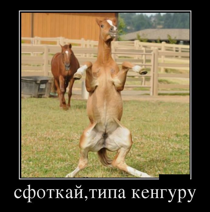 Демотиваторы четверга (28 фото)