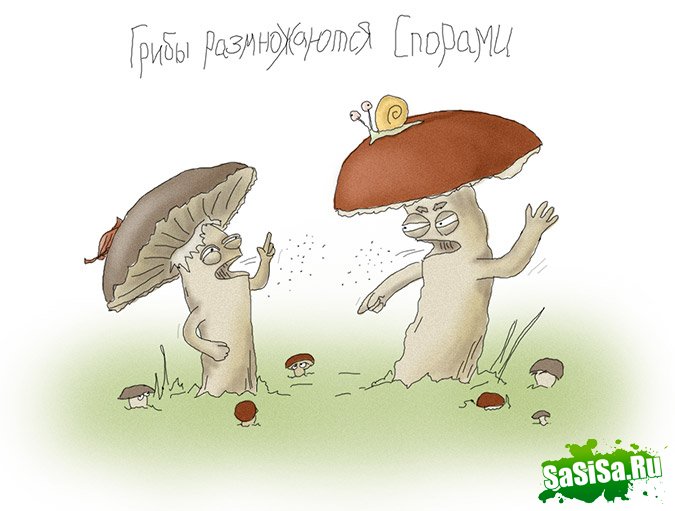 Фотоподборка (дальше в развёрнутом виде)