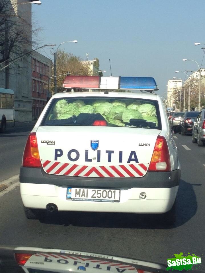 Фотоподборка (дальше в развёрнутом виде)