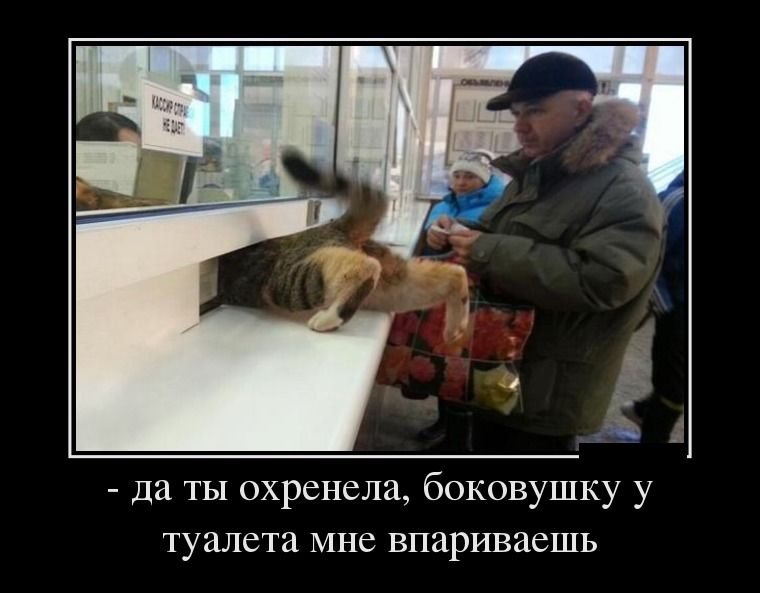 Демотиваторы пятницы (28 фото)