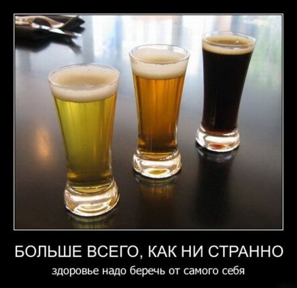 Демотиваторы пятницы (28 фото)
