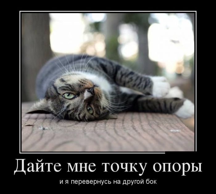 Демотиваторы пятницы (28 фото)