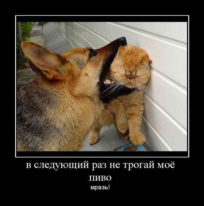 Демотиваторы пятницы (28 фото)