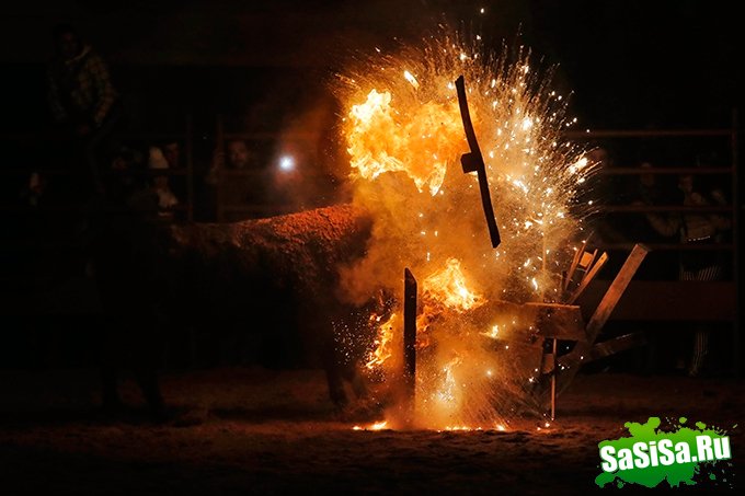  :Toro de Jubilo (7 )