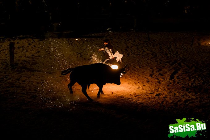  :Toro de Jubilo (7 )