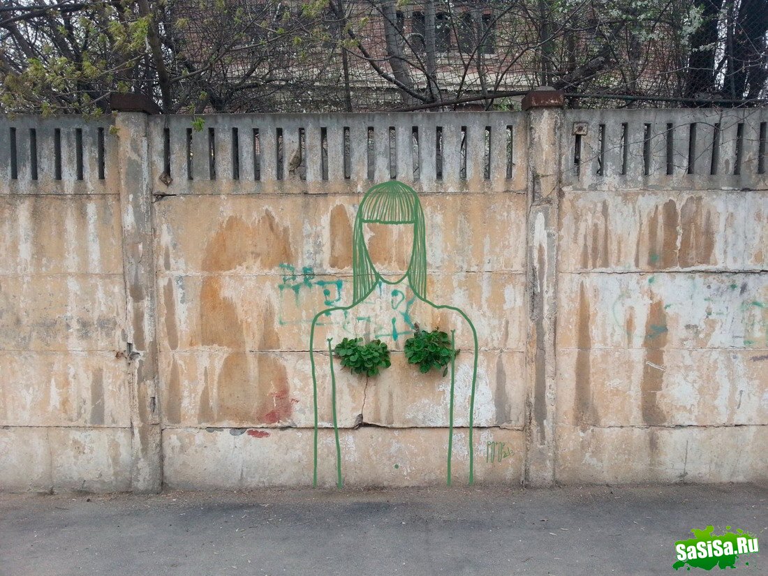 Фотоподборка (дальше в развёрнутом виде)