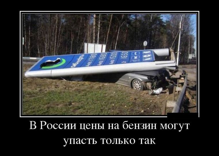 Демотиваторы понедельника (29 фото)