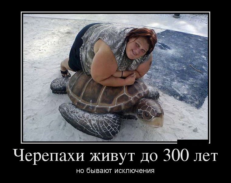 Демотиваторы понедельника (29 фото)