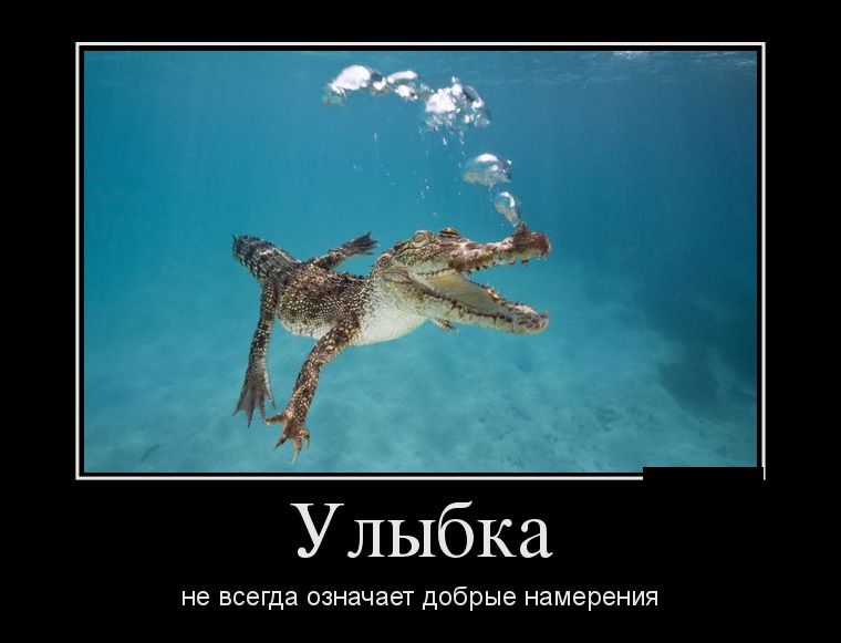 Демотиваторы пятницы (28 фото)