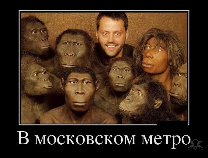 Демотиваторы пятницы (28 фото)