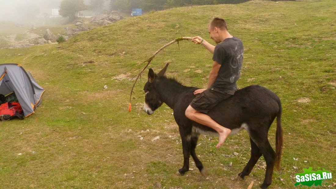Фотоподборка (дальше в развёрнутом виде)