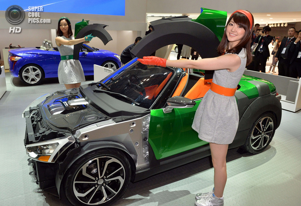  Tokyo Motor Show 2013 (21 )