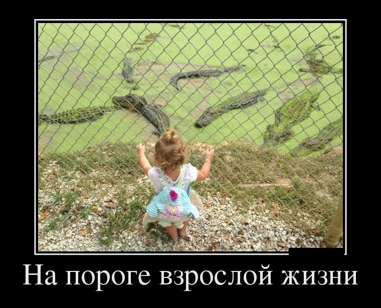 Демотиваторы понедельника (28 фото)