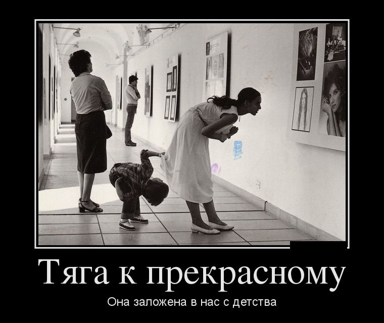Демотиваторы понедельника (28 фото)