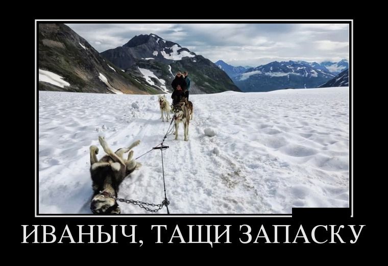 Демотиваторы понедельника (28 фото)
