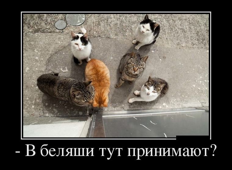 Демотиваторы понедельника (28 фото)
