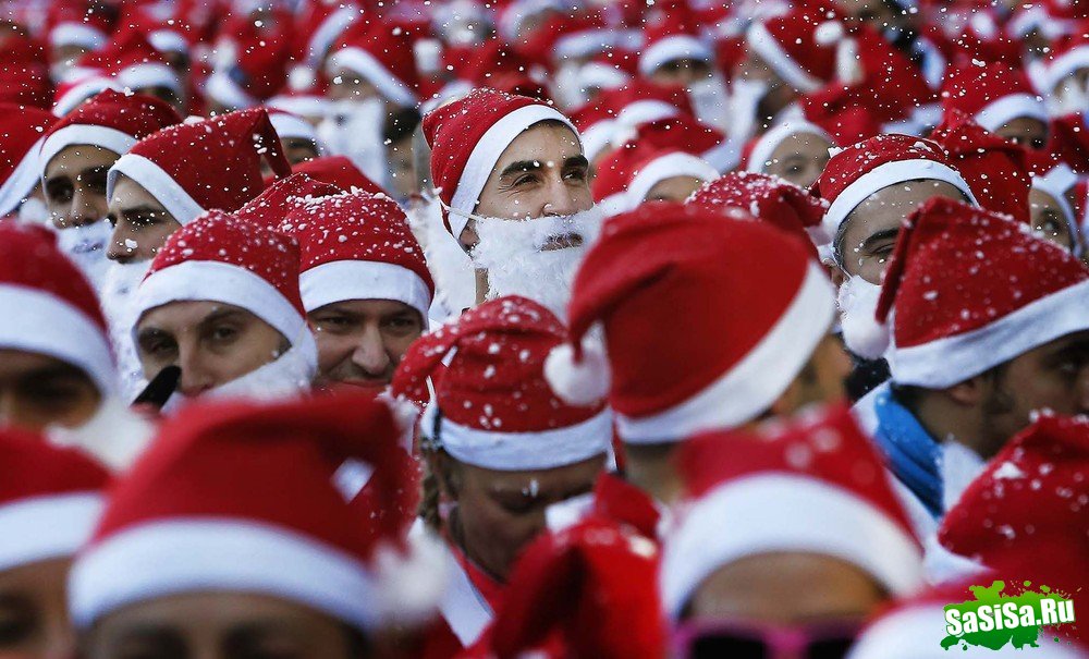   - SantaCon 2013 (19 )