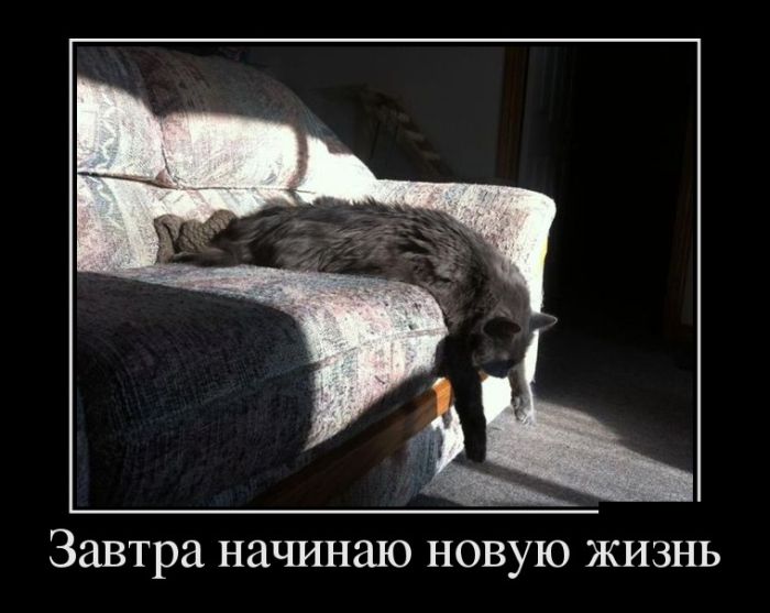 Демотиваторы пятницы (27 фото)