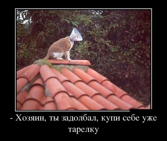 Демотиваторы пятницы (27 фото)