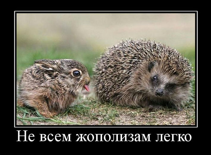 Демотиваторы пятницы (27 фото)