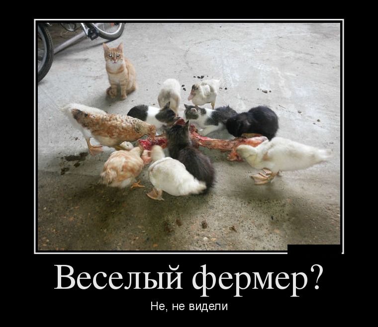 Демотиваторы понедельника (28 фото)