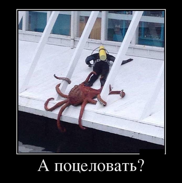 Демотиваторы понедельника (28 фото)