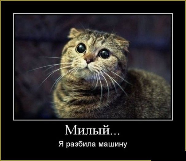 Демотиваторы понедельника (28 фото)